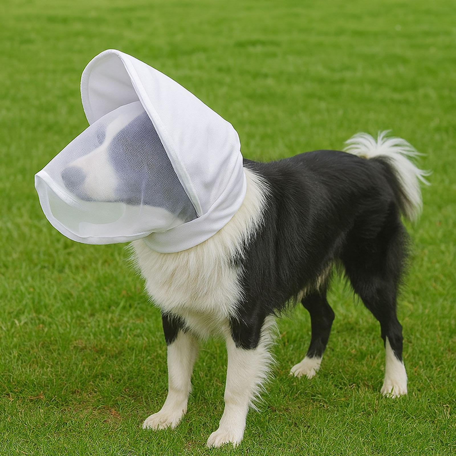 

Чехол на голову собаки Дышащий Практичный Защита лица для приключений, активного отдыха, альпинизма XL белый