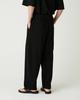 Diaendeukweseucheon Relax Tuck Pants / Black