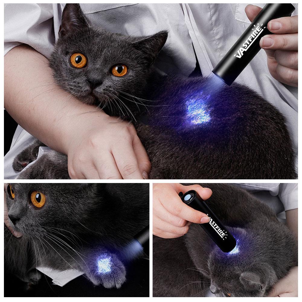 uv flashlight 365nm USB Rechargeable ultraviolet flashlight Cat moss fungus detection lamp black mirror fluorescent UV light