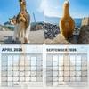 2026 Cat Butt Desk Calendar Funny Countdown Cat Butt Calendar