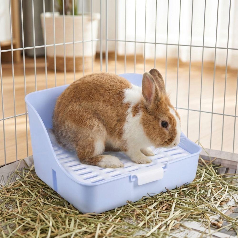 Stable Rabbit Toilet Splash-Proof Animal Potty Trainer Durable Pet Toilet Box  Pet Enclosure