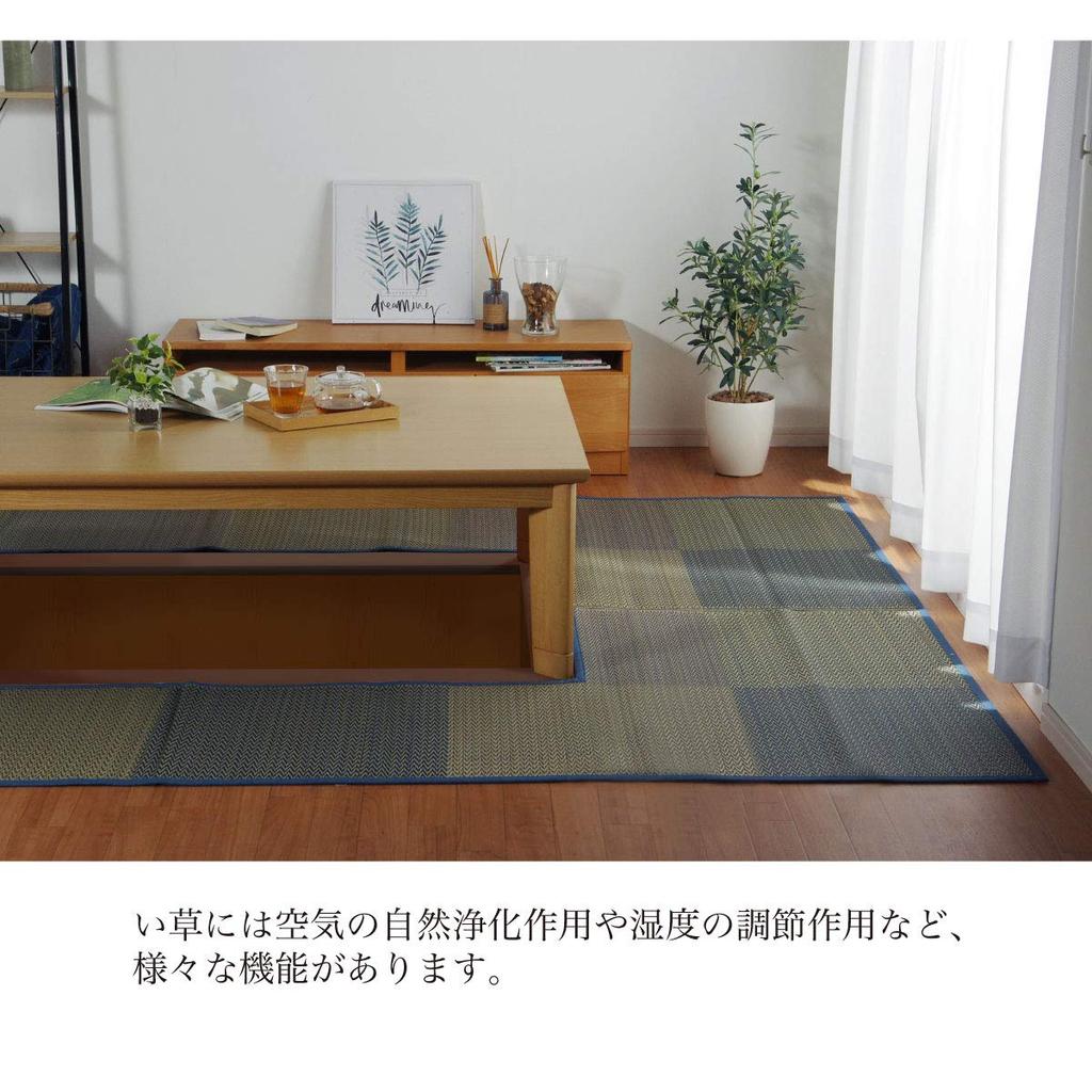 IKEHIKO DX Horigotatsu Rug/Carpet, 2-Tatami Size, Beige, Approx. 191 x 191cm (Covered Area: Approx. 90 x 90cm) #8119720