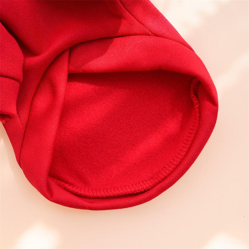 New Year's Pet Clothing Fleece Two-legged Cat Sweater Dog Cat Clothing Teddy Dog Supplies Clothing