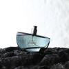 Ebony scented men's perfume lasts for a long time, light fragrance, and shakes quickly.