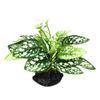 Simulated Reptile Plants For Terrarium Decor, Realistic Artificial Water Plants With Base Amphibian Habitat Decoration, Snake Tortoise Tank Accessorie