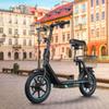 Elektrická kolobežka TWOFISH M5-Elite s košíkom 14" pneumatika 500W motor 48V13Ah batéria Max. rýchlosť 40km/h Max. dojazd 30km Čierna