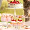 Cupcake Holder Stand Acrylic 4-Tier Display Modern Decor Cup Cake Stand Dessert Display For Cookie Snack Food Pastry Candy