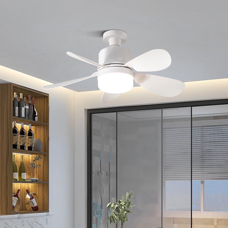 Oeny 5-Blade Minimalist Ceiling Fan with Light