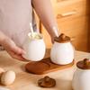 Moisture-Proof Spice Containers with Spoon Spice Bottles Ceramics Seasoning Jars  Kitchen