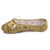 Sports Ballet Dancer Shoe Dance Feet Wearing Shoes Pointed Sequin Leather Ballet Dancing Shoes