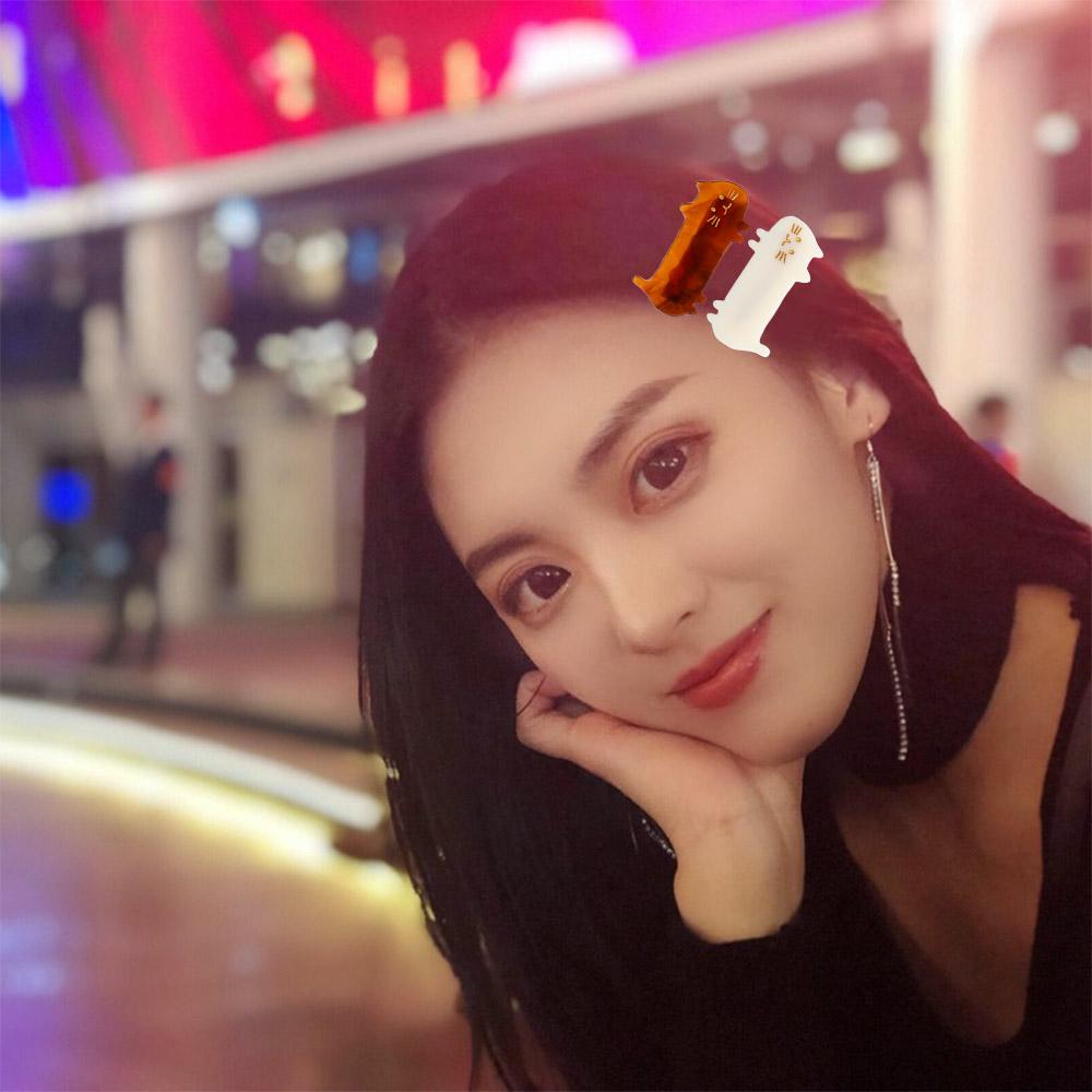 Animal Hair Accessories Plastic Hair Clips Korean Style Hairpins Women Barrettes Hair Accessories