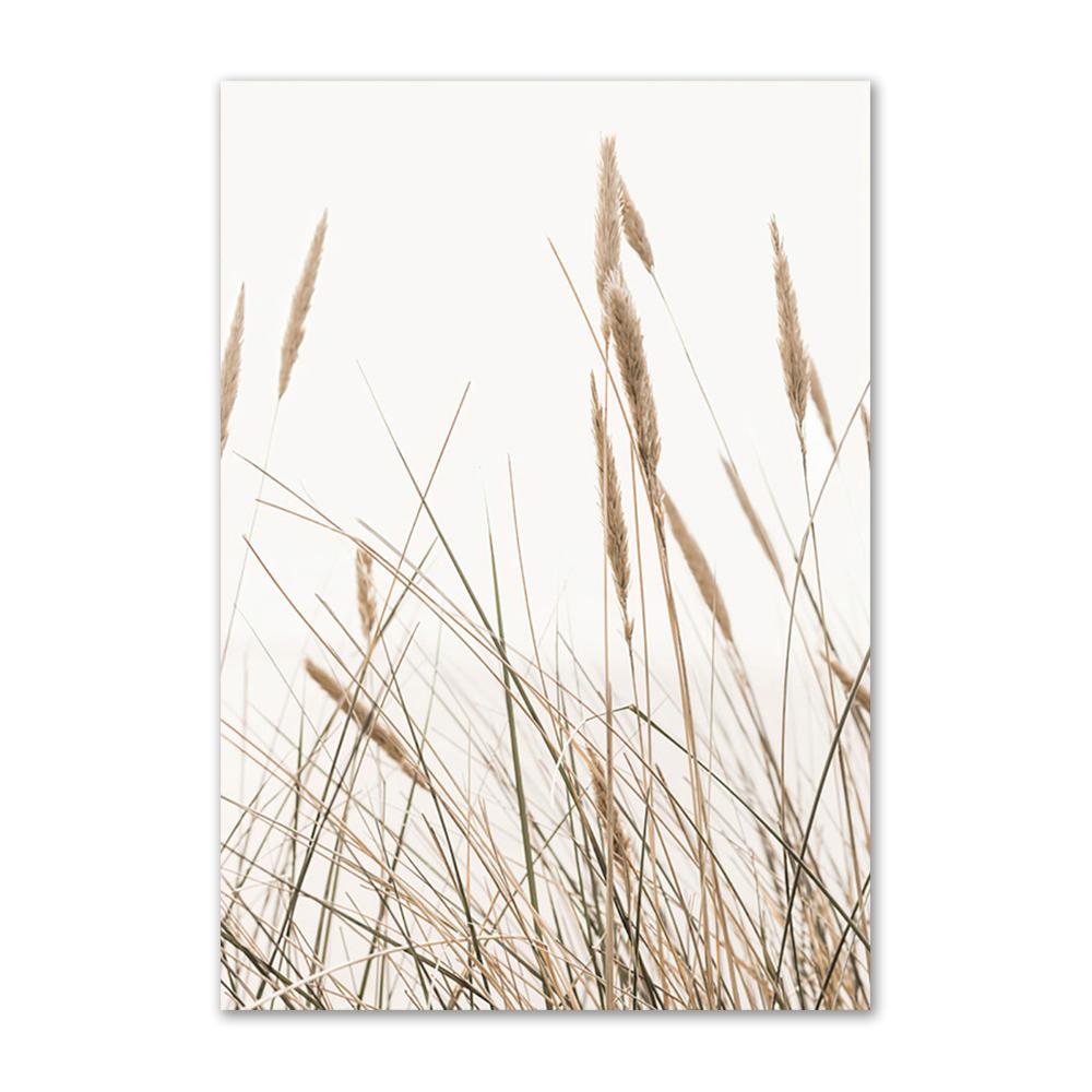 Beige Wall Poster and Prints Natural Scenery Canvas Painting Reed Palm Floral Soft Feather Line Wall Art Picture for Living Room