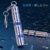[YFFSFDC] Static Electricity Removal 2-stage Keychain Removal System for Cars