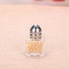 Outdoor Cooking Tool Household for Picnic Kitchen Supplies Salt Jar Seasoning Bottle Spice Bottle