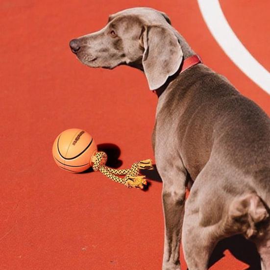 Elektrická hračka pro psy Míč Interaktivní rotující míč se 3 režimy nastavení Psi Hra sami Basketbal Fotbal Hračka na pronásledování pro vnitřní a venkovní zábavu