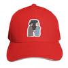 Alex  Henry  When they write the history of my life Baseball Cap Snap Back Hat hats on offer Anime cute Boy Womens