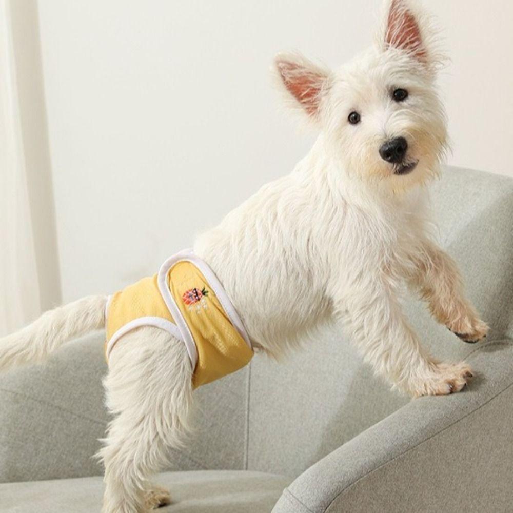 Embroidery Pet Physiological Pant Leak-proof Pet Menstrual Panties  Postoperative Recovery