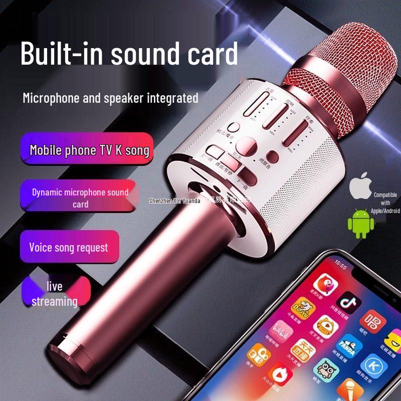 Wireless Bluetooth K-Song Microphone & Speaker with Built-in Sound Card for TV and Mobile