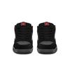 Кроссовки DC Shoes EO-DC COILER