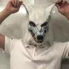 Holloween Horror Mask Party Cosplay Werewolf Costume Dress Up Mask Wolf Head Mask And Claws Animal Dress Up Props