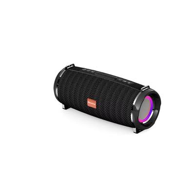 Newsmy BT33 Portable Bluetooth Speaker CN Plug (adapter Included)