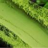 Milk Tea Coffee Cake Ice Cream Decoration Topping Matcha Powder 100g/can Gifts