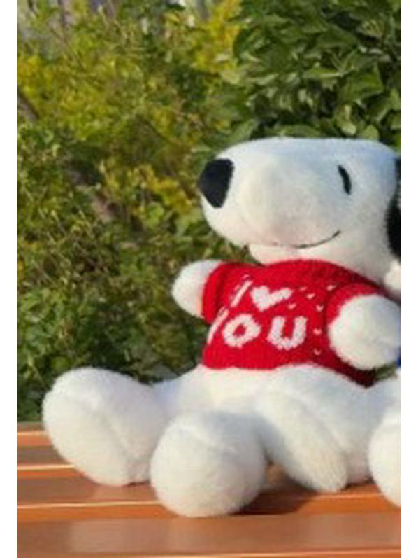 Adorable Snoopy Plush Doll - Cartoon Stuffed Toy