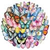 50 Colorful Butterfly PET Transparent Stickers for Water Bottles, Phone Cases, and Computers (50 Sheets)