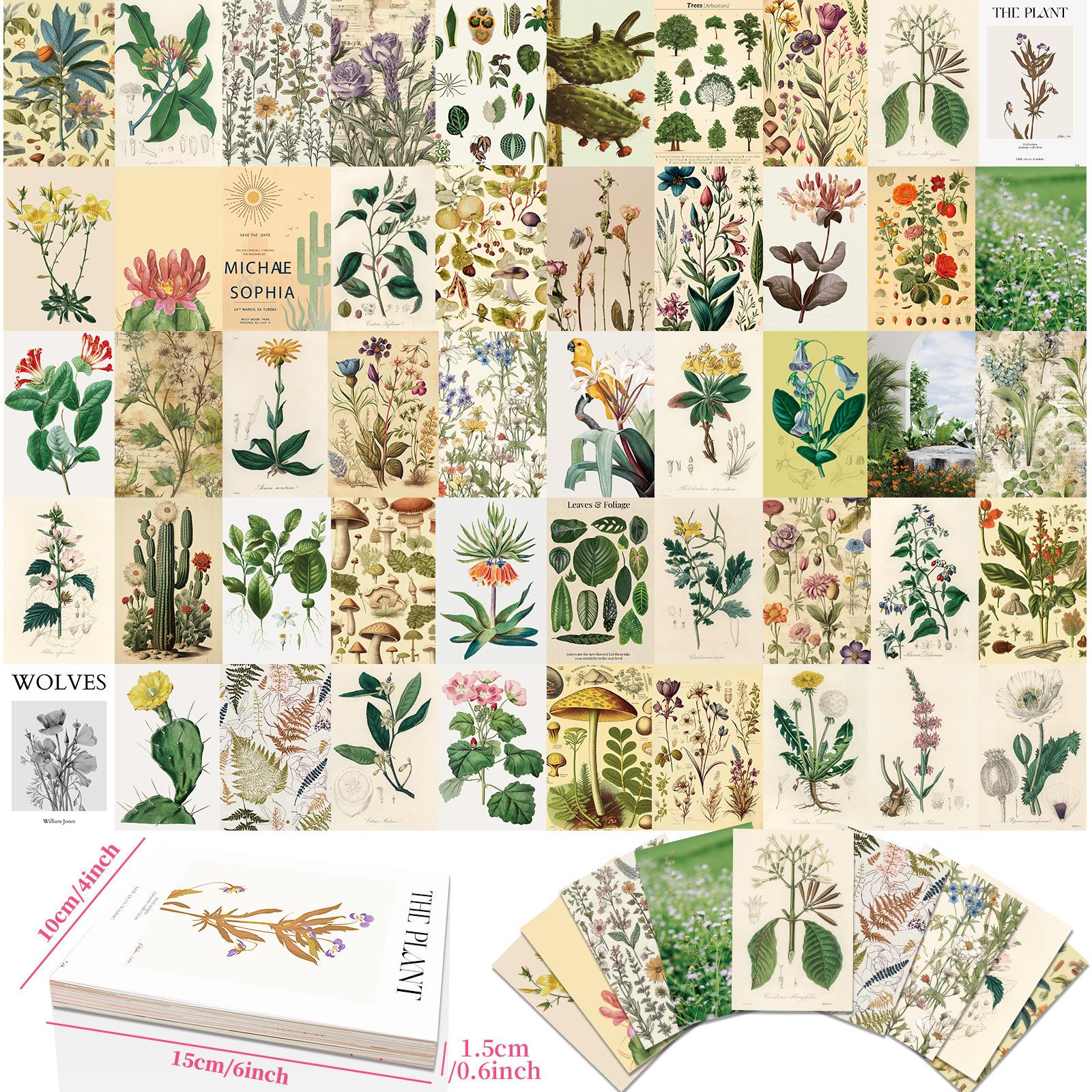 

50 флоры и фауны настенные открытки фон украшение стены общежития ретро цветочные открытки теплые сердечные сообщения открытки T01041443-Wall Card - Animals and Plants 50