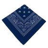 Pelvis Hop Womens Bandana Scarf Young Ladies Kids Rebellious Square Bandanas Headwear Modern Bohemian Head Scarf Headbands Hair Accessories