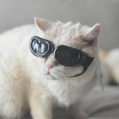 Sluneční brýle pro domácí mazlíčky: Letní brýle pro psy a kočky, ideální pro Corgi, Francouzské buldoky, Border kolie a Teddy pudly