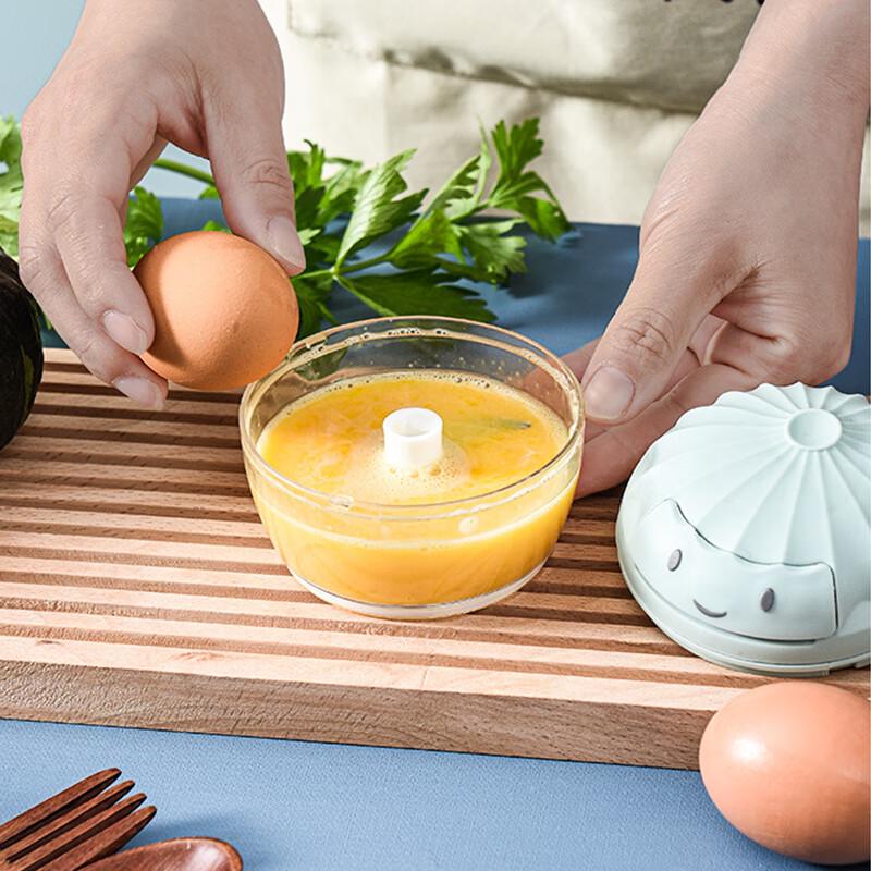 Manual Food Processor and Garlic Chopper