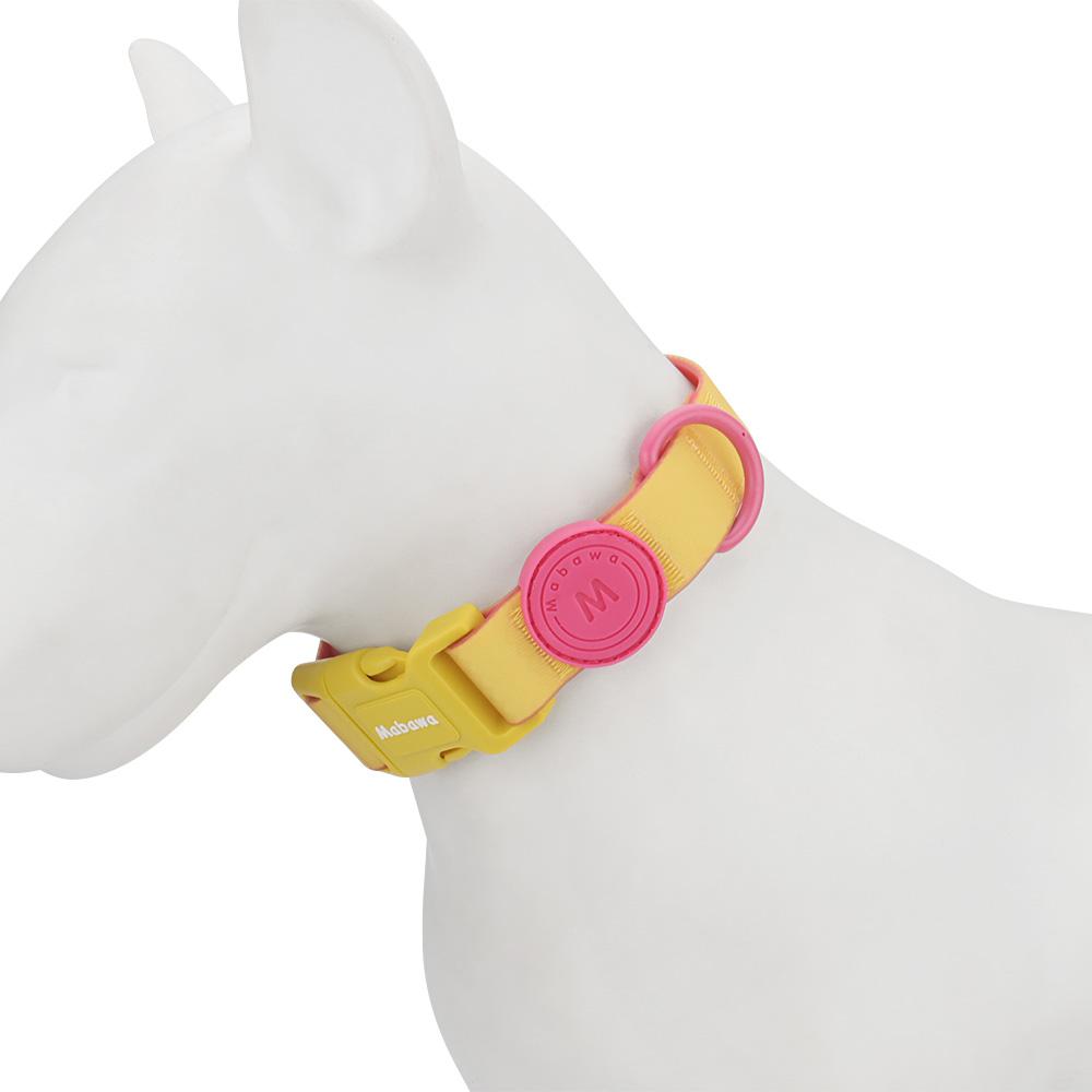 

Candy Color Medium Dog Collar Fashion Cat Pet Collar For Puppy Small Dogs Leashes S for 21-28cm