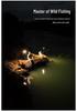 Rechargeable Outdoor Folding Camping Lantern and Work Light