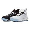 Nike LeBron 16 Equality 2019 GS Sneakers aq2465-100