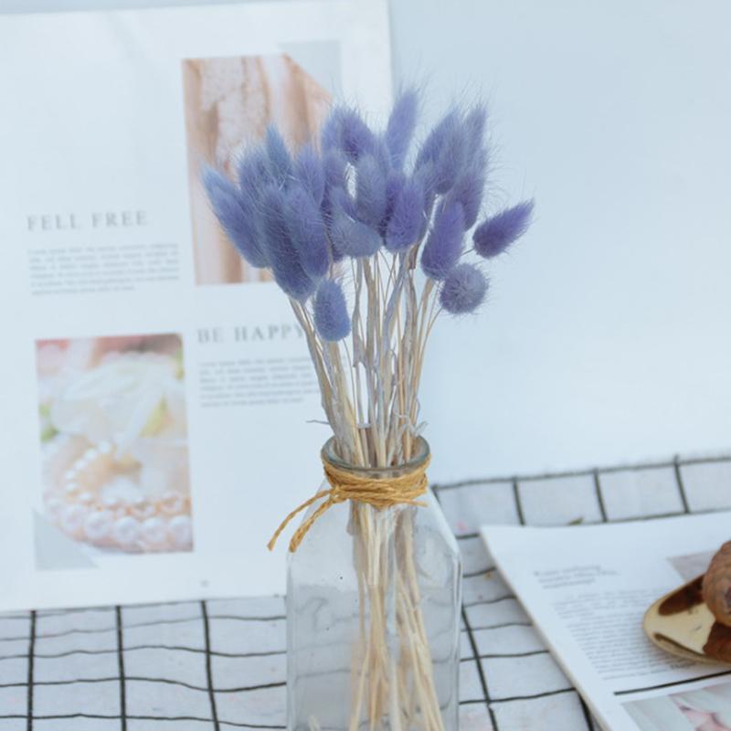 20PC Dried Flower Bunny Tail Grass Bunch Real Bouquet For Photography Props Flores Diy Home Wedding Decor