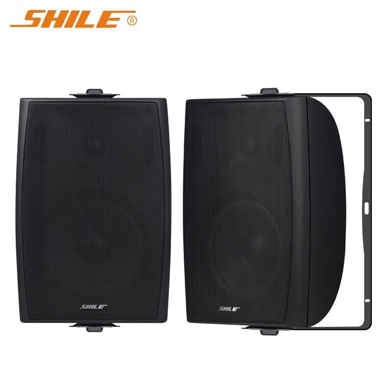SHILE Conference Audio System with Bluetooth Amplifier and Wireless Microphones CN plug (adapter included)