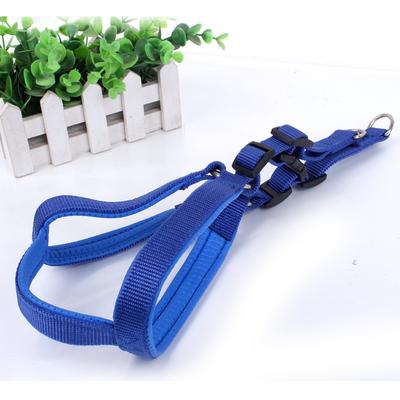 Cani – Collari e guinzagli per cani