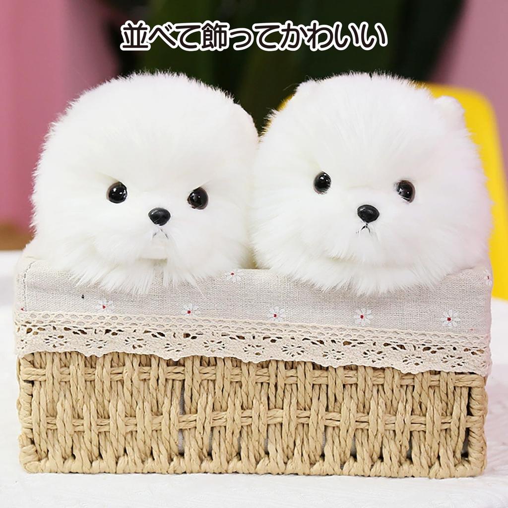 Hyack Pomeranian Plush Toy, Cute Stuffed Animal Pillow, Fluffy, White [Parallel Import]