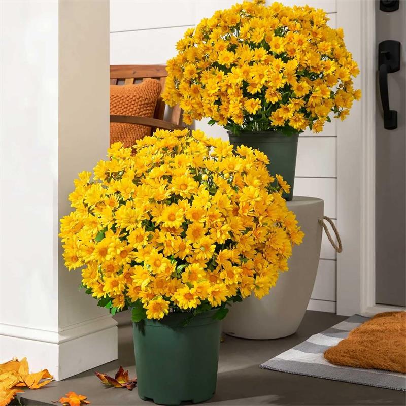 Funsdecor Mums, Artificial Sunset Mums, Artificial Outdoor Sunset Mums Flowers