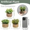 3 Stück Grüne Künstliche Pflanzen Gras Gewebte Kleine Topfpflanzen Heimdekoration home decor  home decoration  Pflanzen