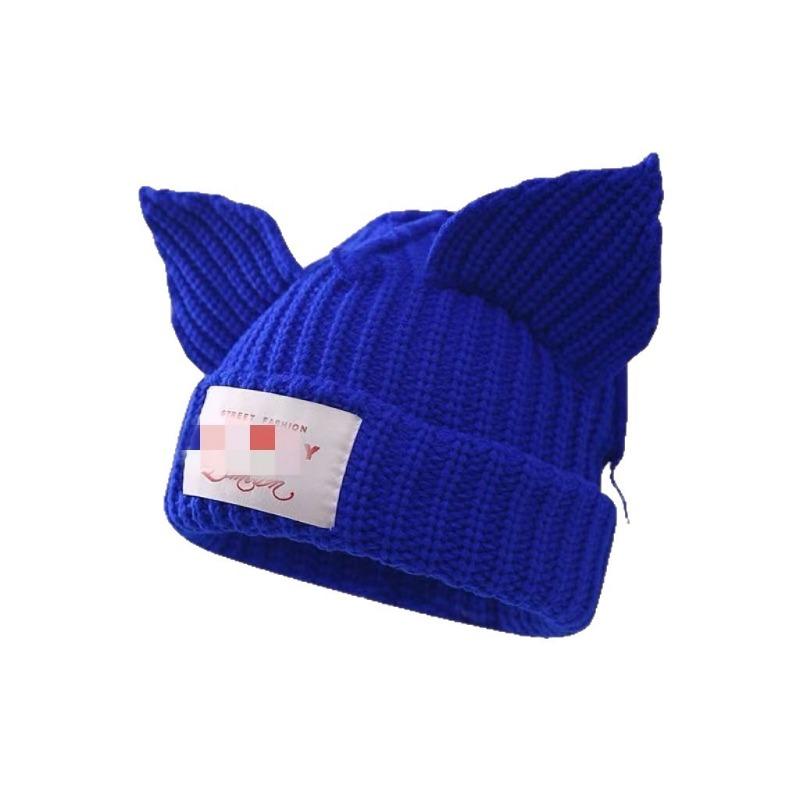 Niche Design Personalized Cat and Pig Ears Knitted Wool Hat Cute Autumn and Winter Warm Ear Protection Bag Head Hat