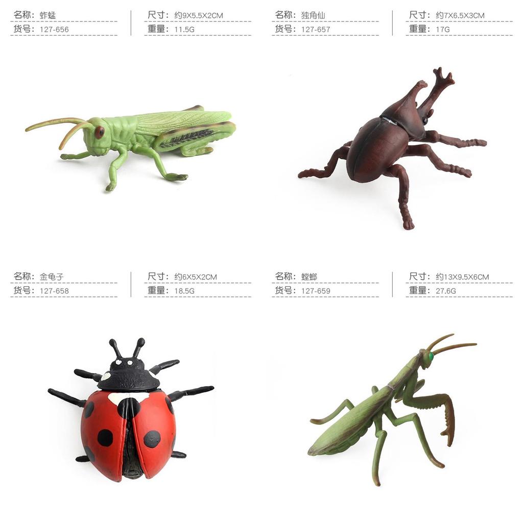 Spinnen Vlinder PVC Insectenmodel Set Met Realistische Dierlijke Replica's Voor Educatief Spel En Verzameling