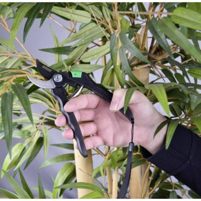 Sécateur - BRÜDER MANNESMANN - M63101 - Bypass - Polyvalent - Outil de jardinage