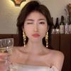 2023 Exquisite High-End Sequined Tassel Earrings: Light Luxury, Anti-Allergic, New Style Dangle Jewelry for Women