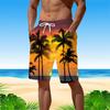 Personality Hawaii Summer Beach Shorts Men Casual Tropics Board Shorts 3D Printed Swimsuit Homme Fashion Holiday Surf Swim Trunk