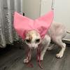 Cat Shower Cap Adjustable Waterproof Bathing Hat with Ear Cover Washing Bathing Raining Protection Cap for Cats