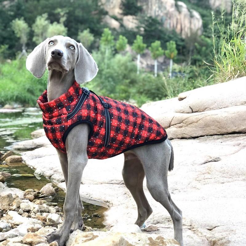 Reflective Pet Dog Winter Coat Large Breeds Outdoor Warm Cotton Jacket In Snowflake Plaid Gray