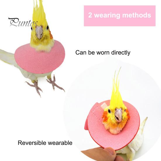 Adjustable Parrot Recovery Collar Anti-Biting Injury Protection Fastener Tape Fixing Bird Collar Pet Bird