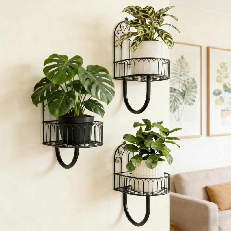 3 Stück Mehrzweck-Wandpflanzenhalter zum Aufhängen von Grünpflanzen Platzsparend für Innenräume Moderne Dekorationen Pflanzgefäß Halter Gestell